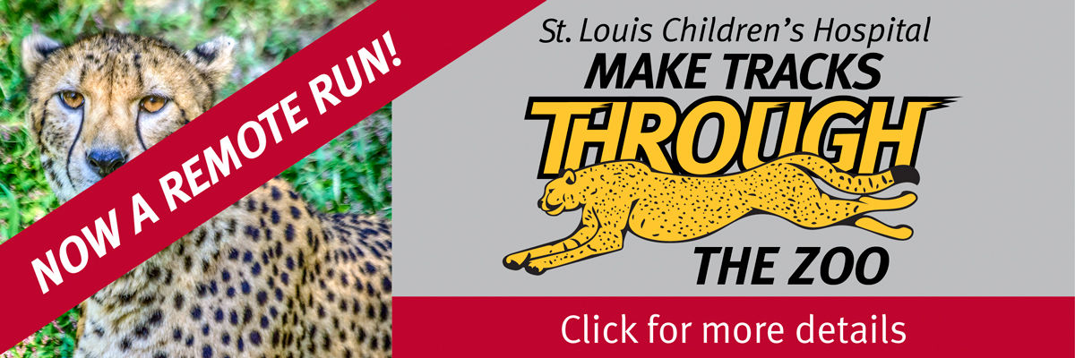make tracks through the zoo